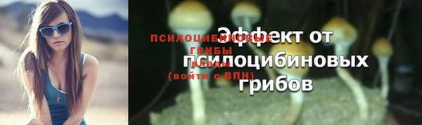 спайс Аркадак